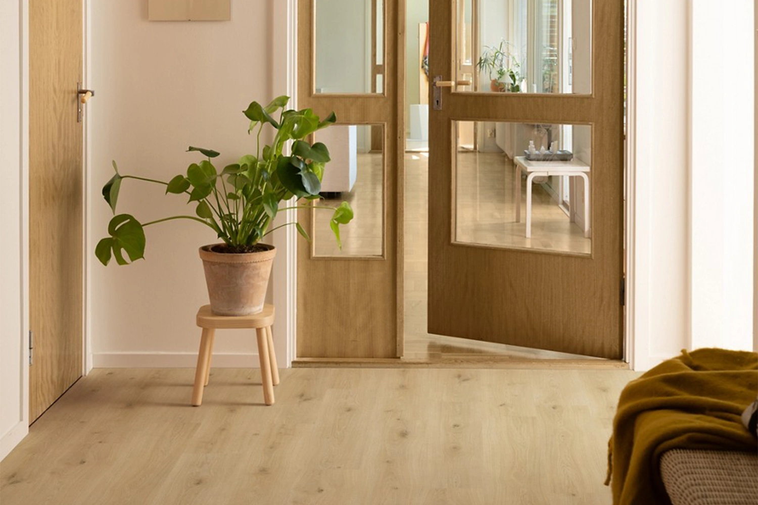 Przedpokój z jasną podłogą laminowaną i zielonym akcentem roślinnym